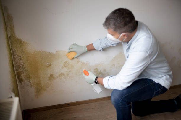 Best Mold-Related Health Consultation  in Milton, GA