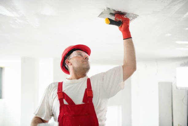 Best Mold Documentation for Insurance Claims  in Milton, GA