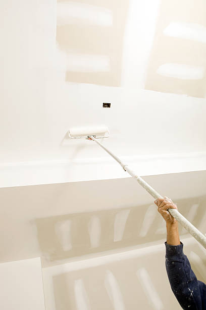Mold Documentation for Insurance Claims in Milton, GA